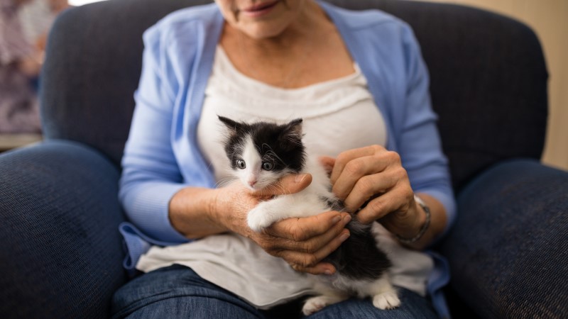 Lady holding a cat 